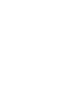 noses and necks logo noses and necks logo